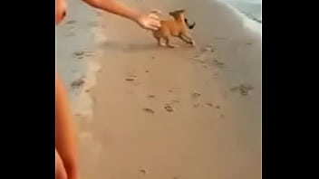 Dog steals bathing suit, lady has to give chase nude