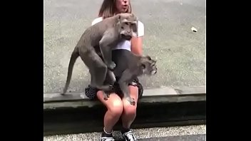 Monkey sex